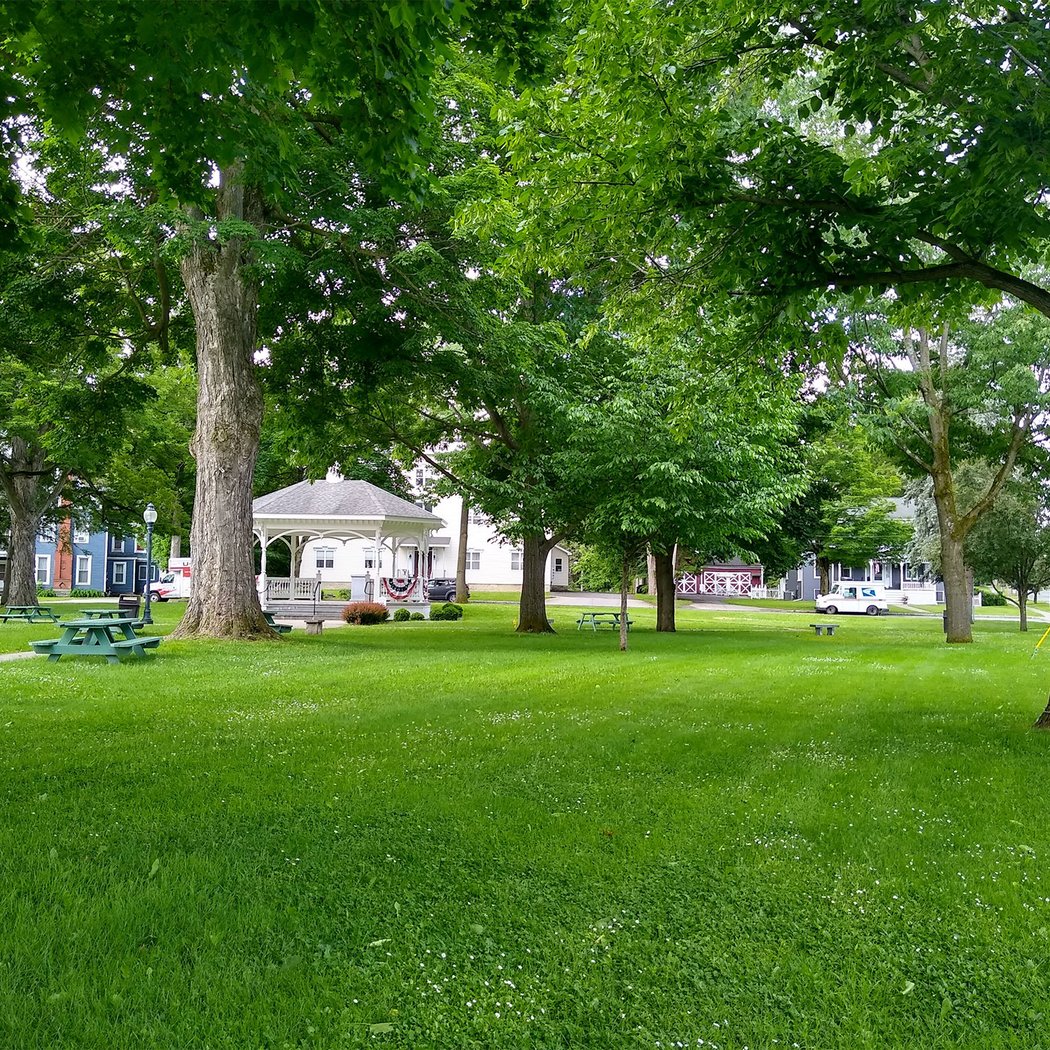 Babbott Park 1